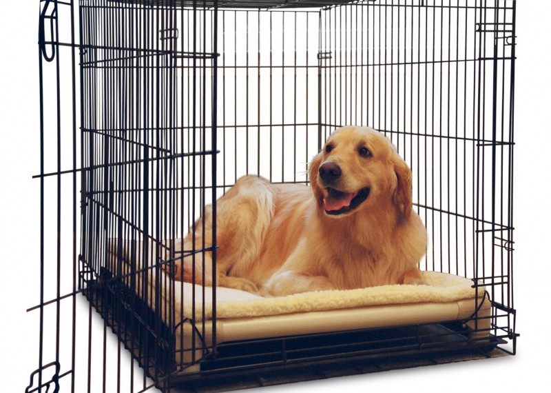 Best available dog crates