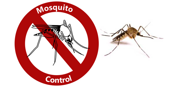 organic mosquito control