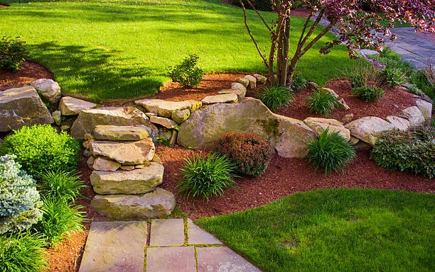 Landscaping Services Near Me