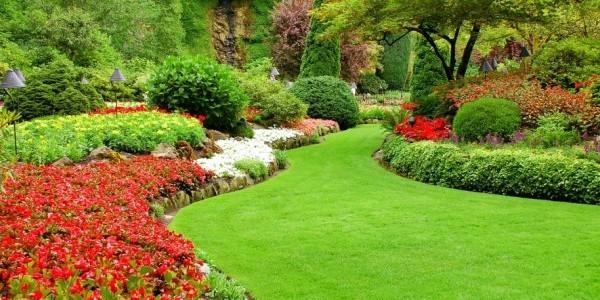 Landscaping Services Near Me